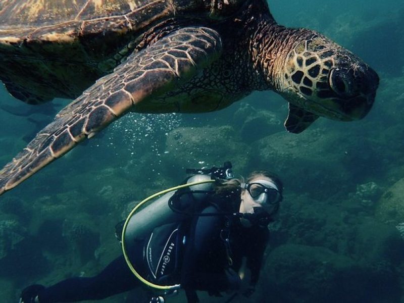 Kauai's Ultimate South Shore 2 Tank Dive (Certified Divers Only)