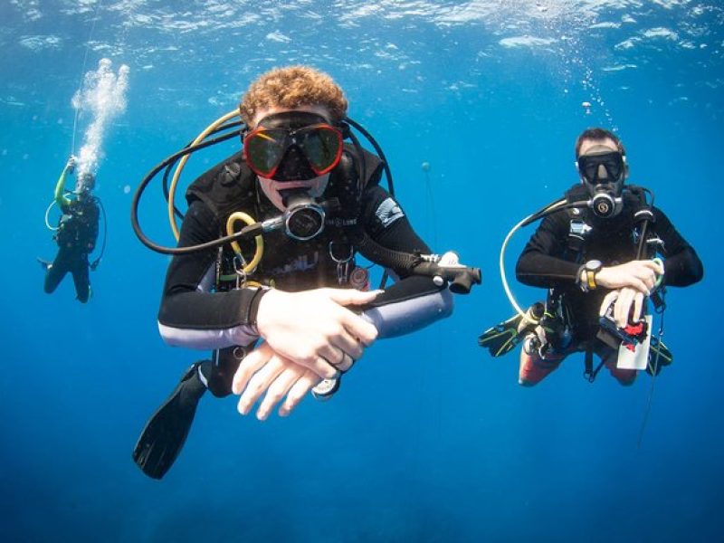 Kauai's Ultimate Discover Scuba Dive – OCEAN EXPERIENCE (1 Tank Dive)