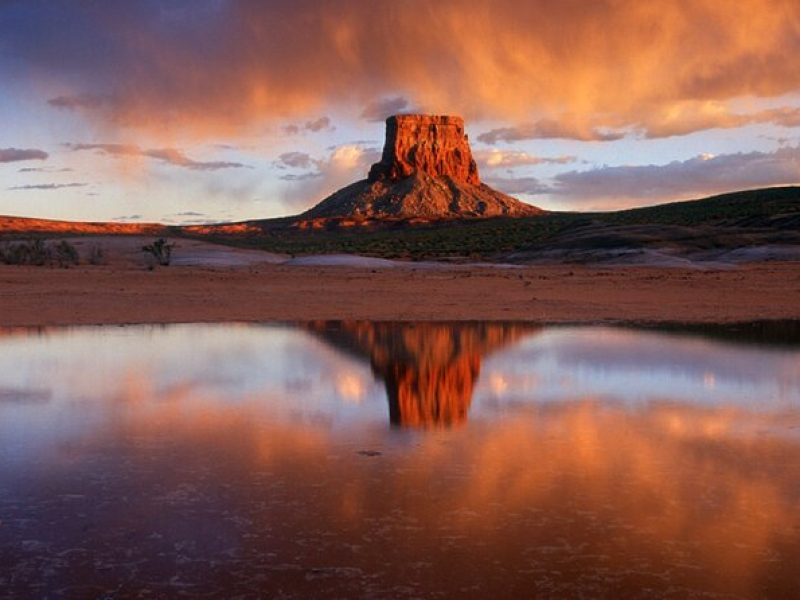 Arizona Desert Helicopter Tour Including Tower Butte Landing