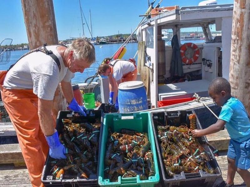 Boston to Kennebunkport with Optional Lobster Tour