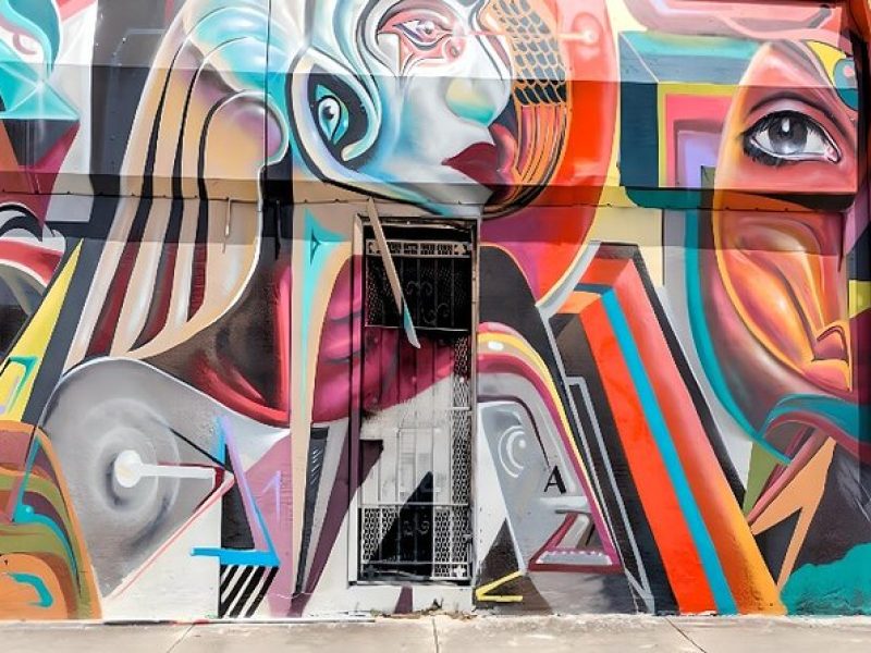 Wynwood Graffiti Tour and Workshop: Create Your Own Street Art