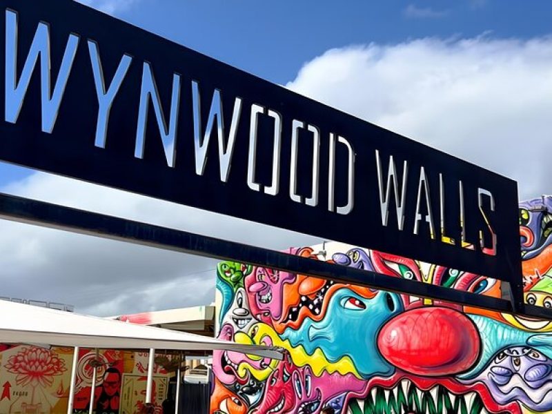 Explore in the Vibrant Art Scene of Wynwood Art Private Tour