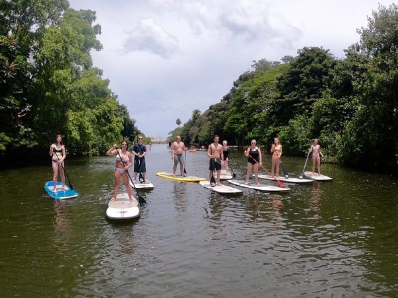 Uniquely Personalized Private Island Tour on Oahu, Hawaii