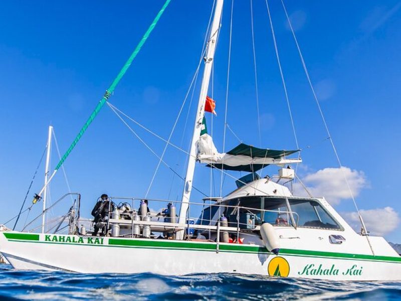 OAHU CATAMARAN Snorkel W/Turtles Waikiki SEE TURTLES GUARANTEED