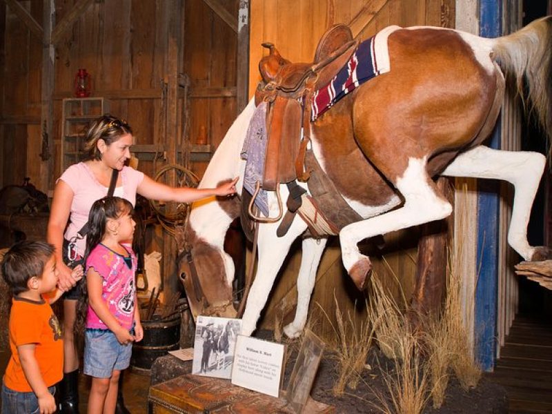 The Buckhorn Saloon & Museum and Texas Ranger Museum Admission