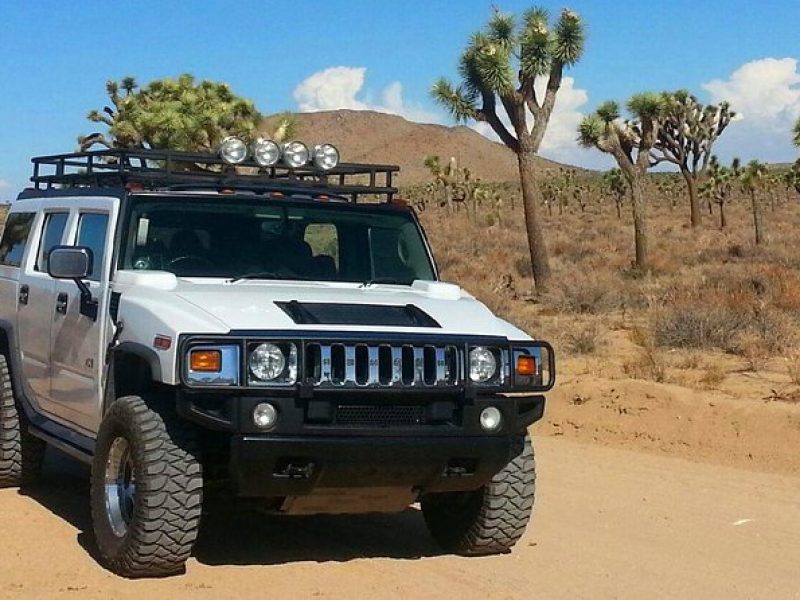 Joshua Tree National Park Air-Conditioned Tour