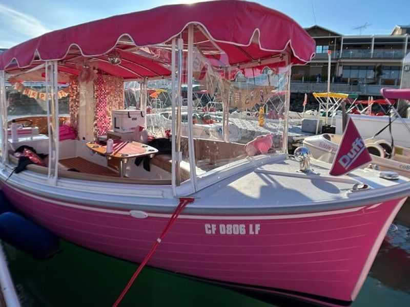 2-Hour Private Pink Party Boat Cruise in San Diego up to 8 people