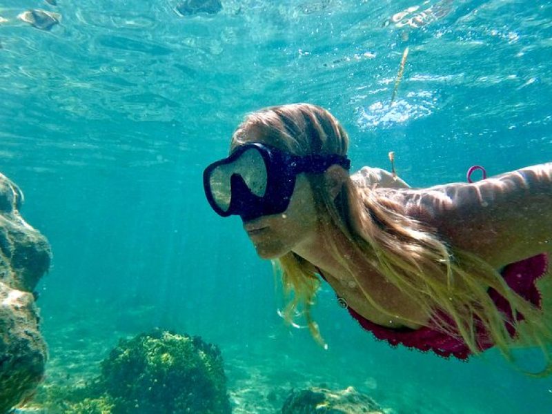 Guided Snorkel Experience, Free Videos in West Palm Beach