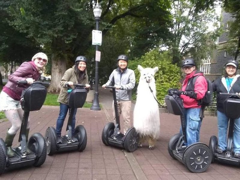 2 Hour Guided Segway Tour