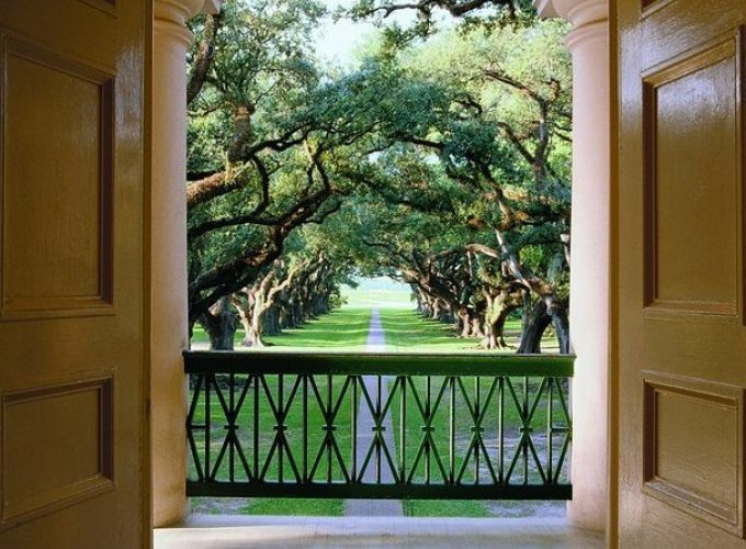 Half-Day Oak Alley Plantation Tour in Vacherie