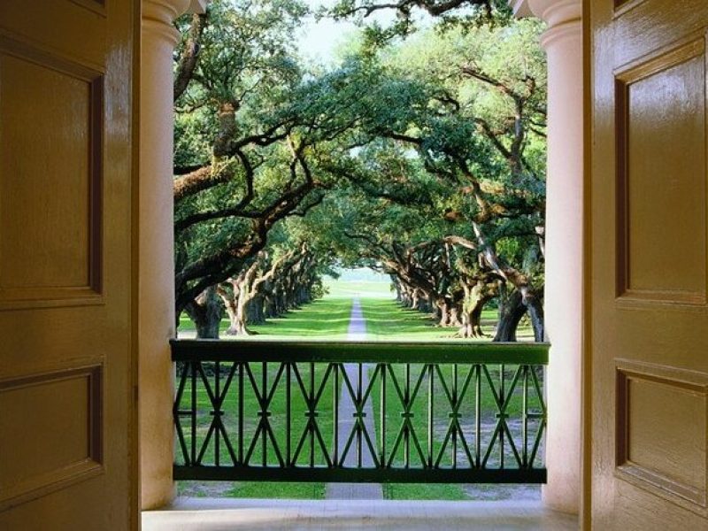 Half-Day Oak Alley Plantation Tour in Vacherie