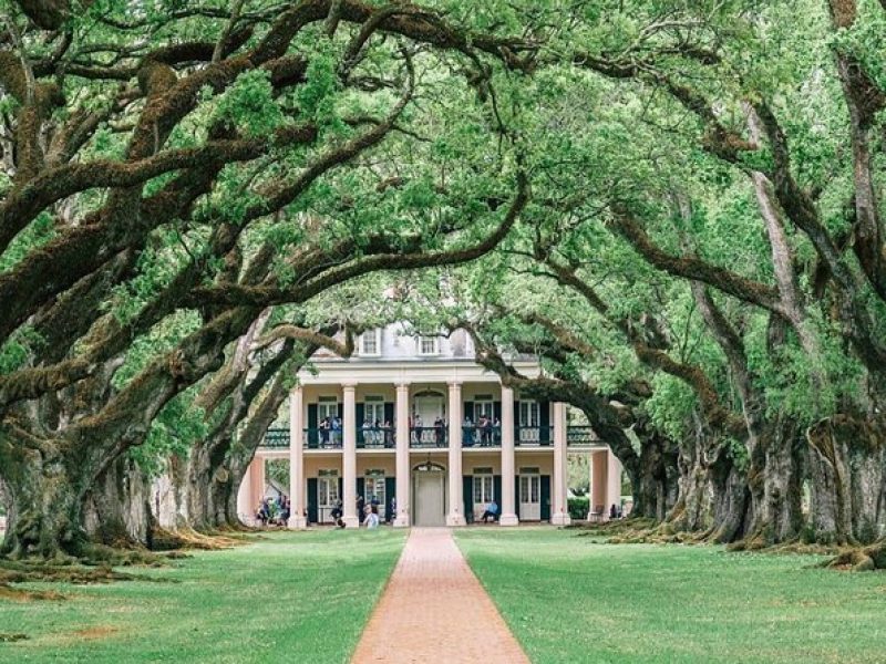 Historical Combo Plantation Tour in Louisiana