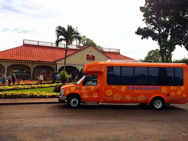 Majestic Circle Island Eco Tour from Waikiki