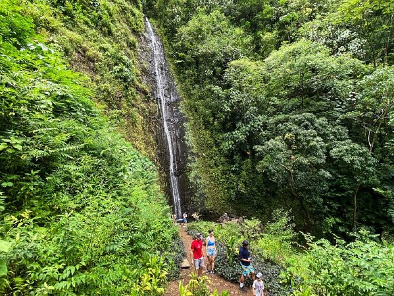 Oahu Private Hiking Tour