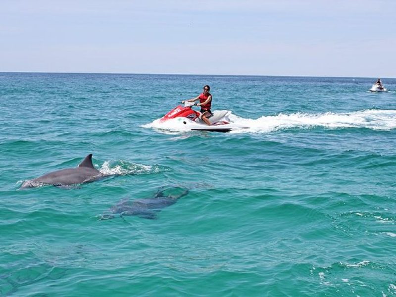 Waverunner Dolphin Tour