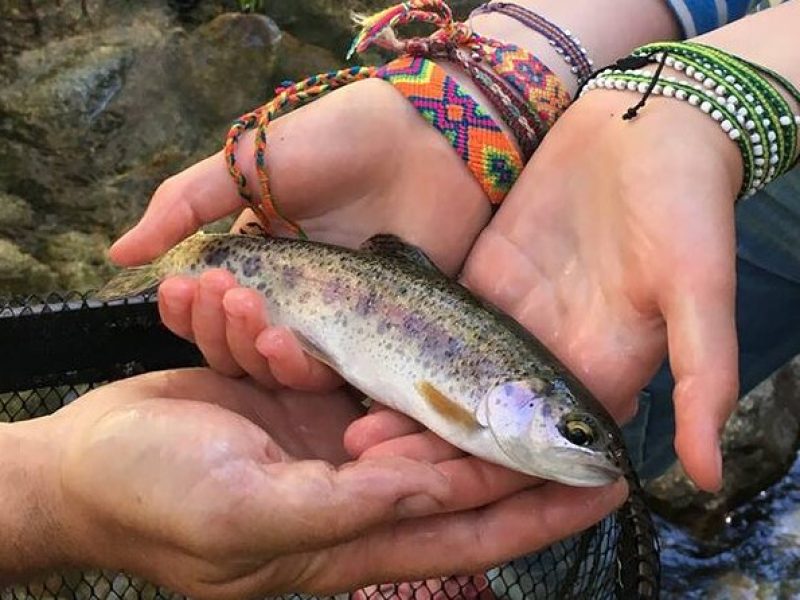 Family Fun Private Half Day Fly Fishing Adventure