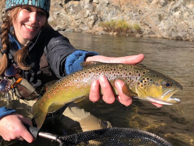 Private Full Day Fly Fishing For Beginners and Experienced Anglers