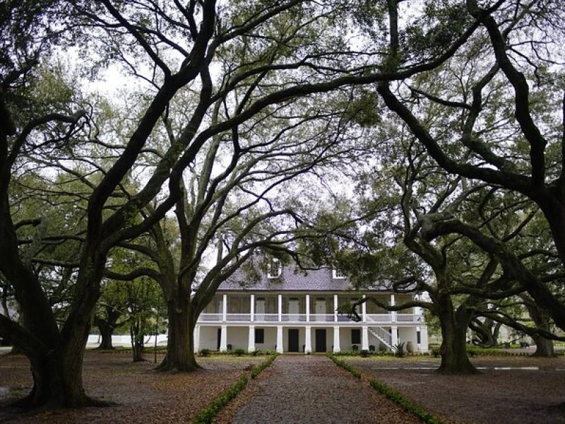 Audio-Guided Whitney Plantation Tour with Transportation