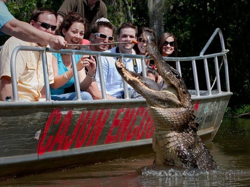 New Orleans Swamp and Bayou Boat Tour with Transportation