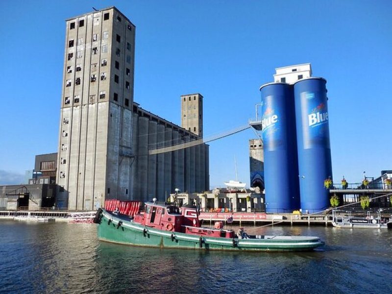 Buffalo Double Decker Bus-Waterfront & Grain Silo Tour