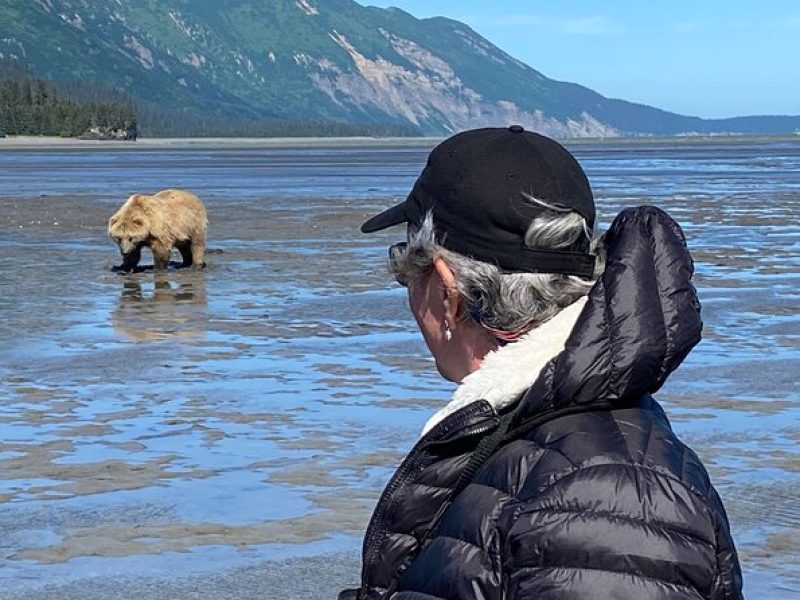 VIP Heli Bear Viewing – Lake Clark National Park