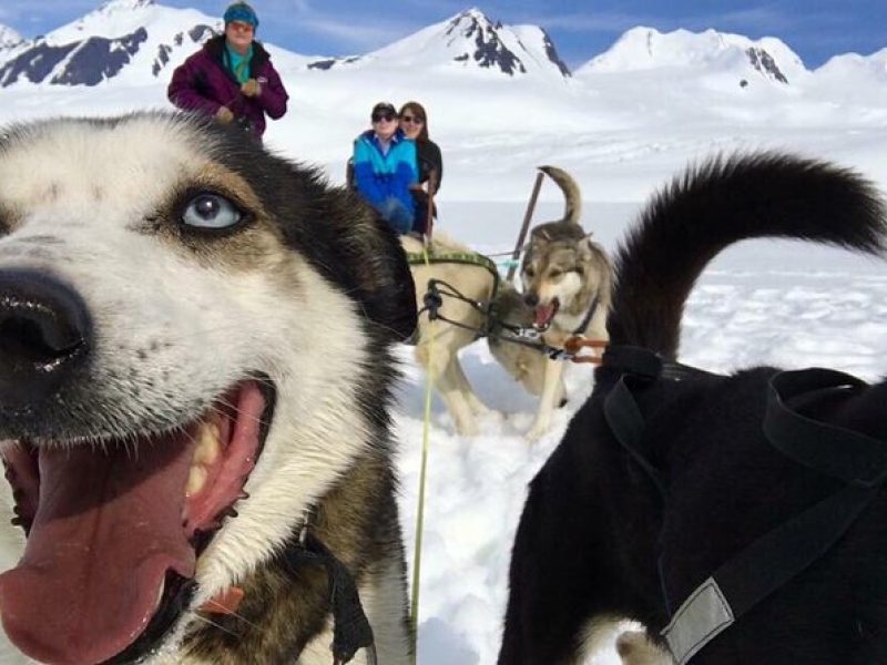 Alaska Helicopter and Glacier Dogsled Tour – ANCHORAGE AREA