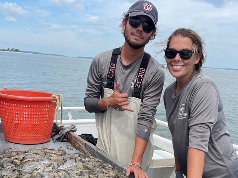 Hilton Head Shrimp Trawling Boat Cruise