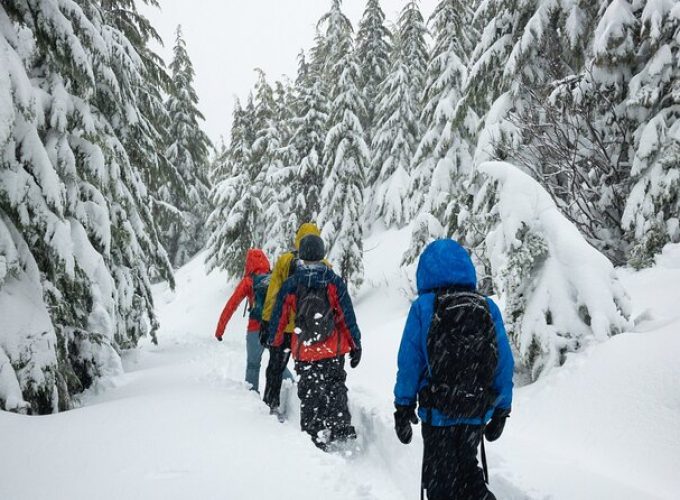 Private Snowshoeing Adventure from Badger Pass to Dewey Point