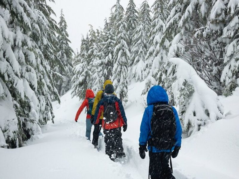 Private Snowshoeing Adventure from Badger Pass to Dewey Point