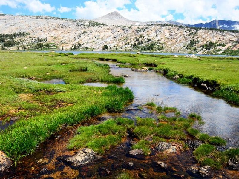 Private Tuolumne Meadows Hiking Tour