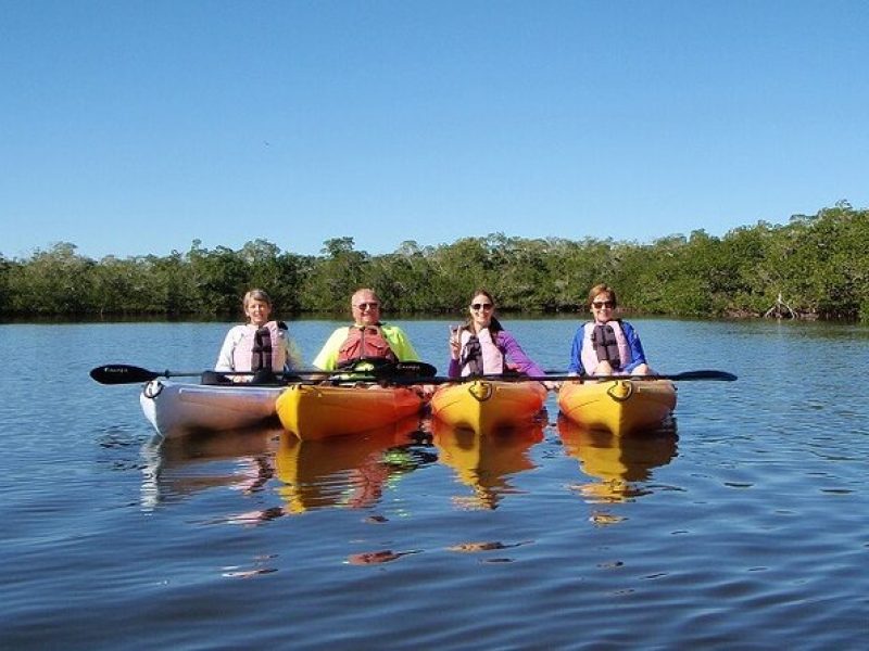 1 Hour Guided SUP/Kayak Tour in Pelican Bay at Fort Myers Beach