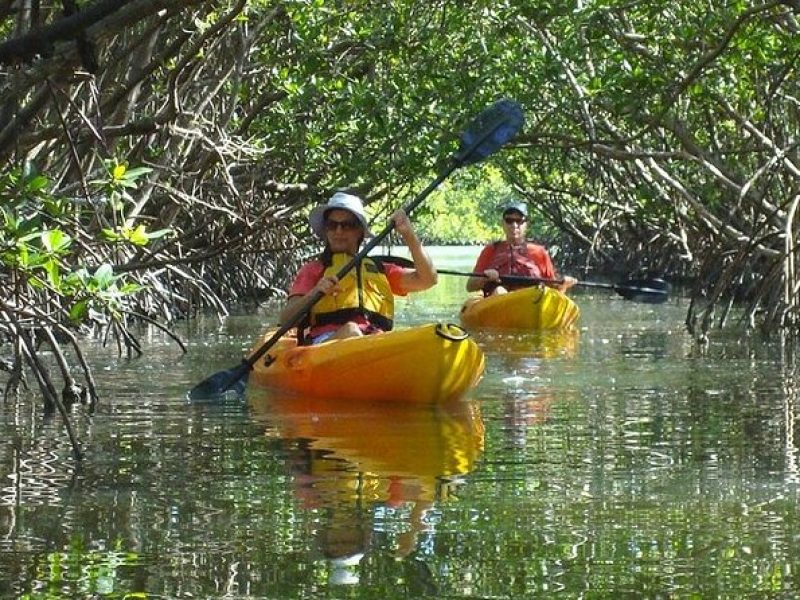 Half Day Kayak or SUP Rental (3hr) – Bunche Beach