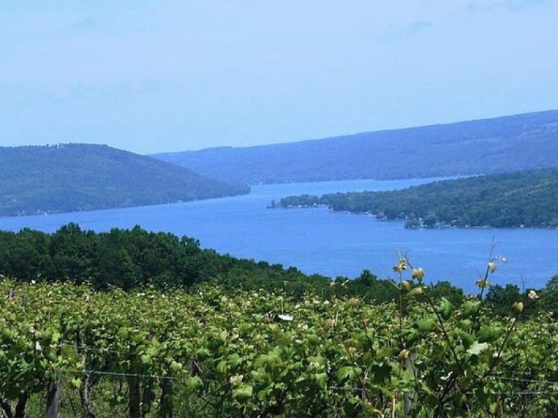 Keuka Lake Winery Tour