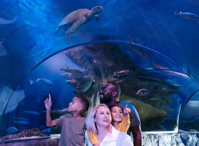 SEA LIFE Aquarium Minnesota Admission Ticket at Mall of America