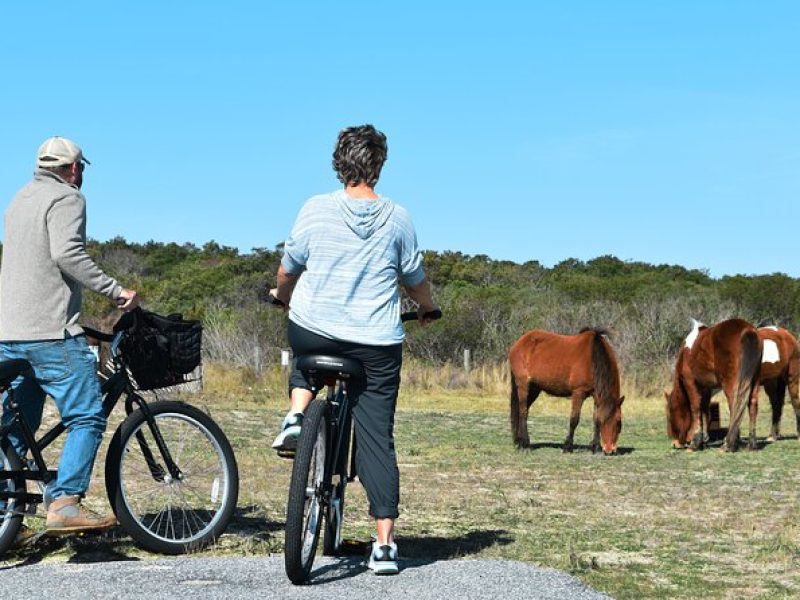 Bicycle Rental from Visitor Center location at Assateague, MD