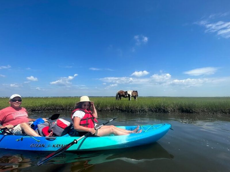 Guided Assateague Kayaking and Wildlife Discovery Tour