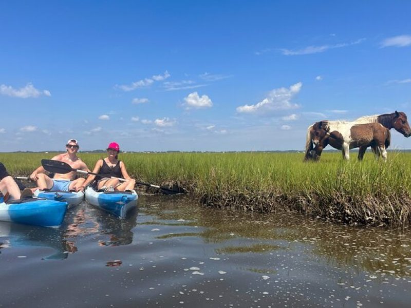 Single Sit on Top Kayak Rental at Assateague Island, MD