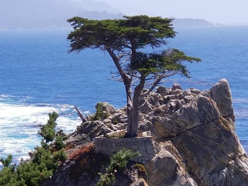 Private Tour to Monterey, 17-Mile Drive, Pebble Beach, & Carmel