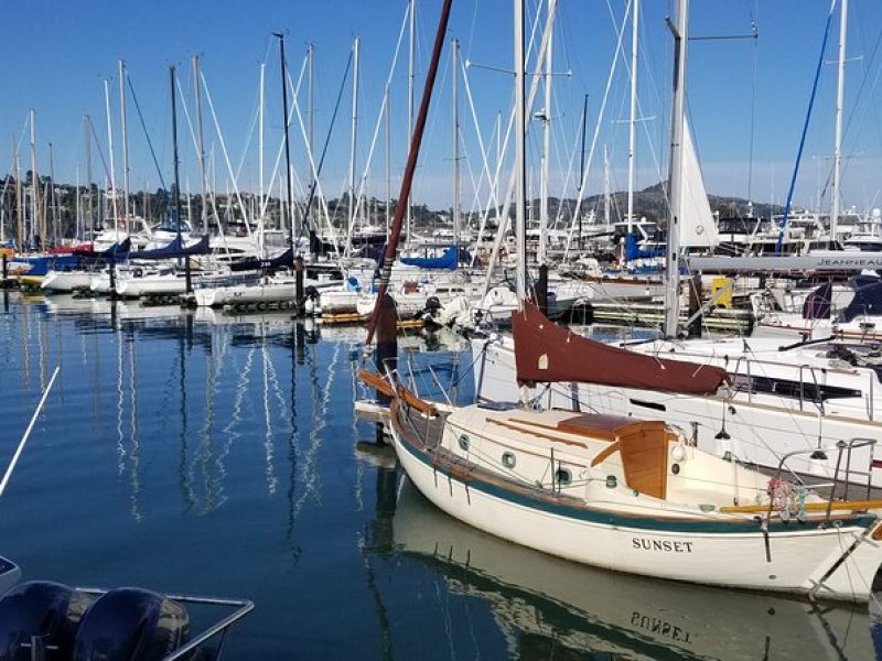 Private Tour to Muir Woods, Sausalito, Marin Headlands, Point Bonita Lighthouse