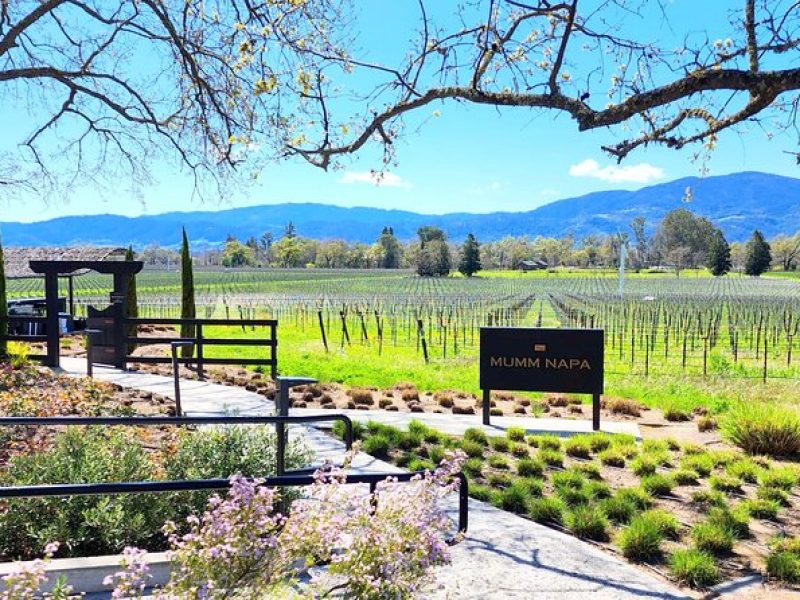 Half Day Private Champagne Wine Tour to Sonoma and Napa