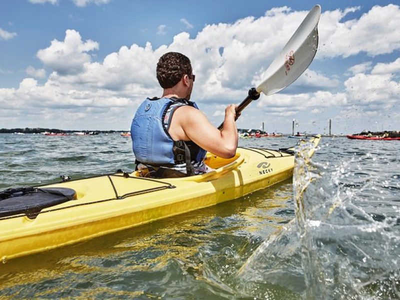 Casco Bay Half-Day Sea Kayak Tour