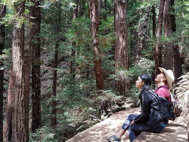 San Francisco: Guided Muir Woods Tour & Hop-on Hop-off Bus Tour