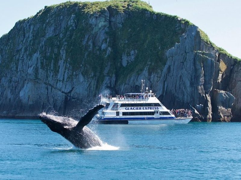 Full-Day Kenai Fjords National Park Cruise