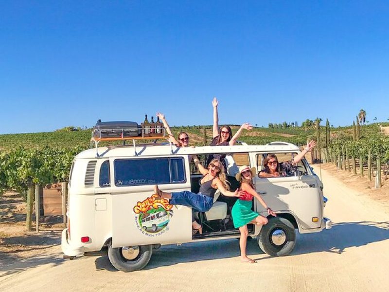 VW Bus Wine Tour of Temecula: The Ultimate California Experience