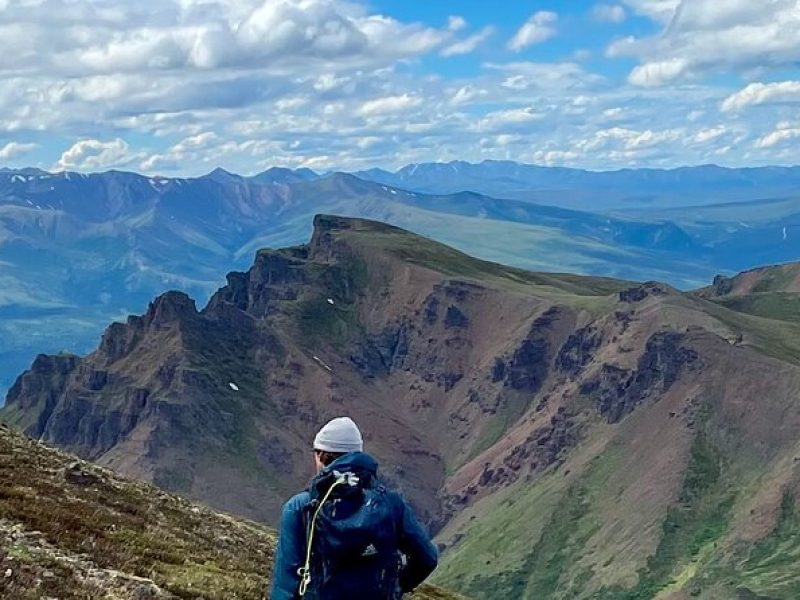 Denali National Park Walking Tour