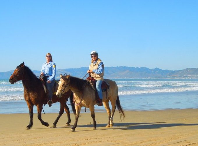 Horseback Ride & Alcatraz Prison Tickets