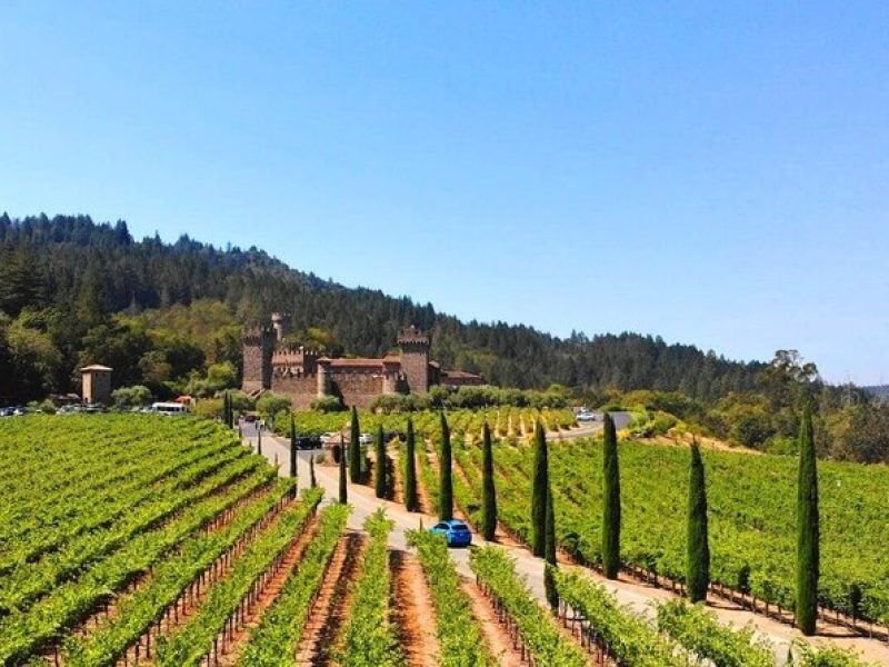 Full Day Private Napa Valley Wine Experience