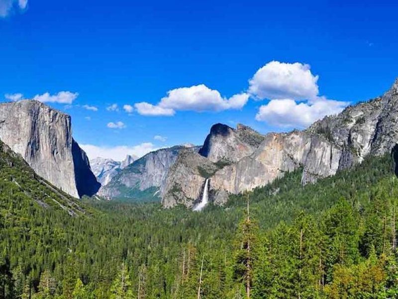 Best 1-Day Yosemite National Park Private Tour from San Francisco