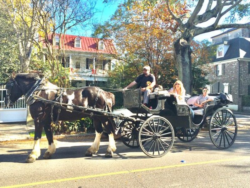 Private Historic Horse & Carriage Tour of Charleston