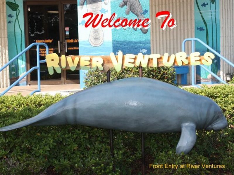 River Cruise Tour with Manatee Viewing